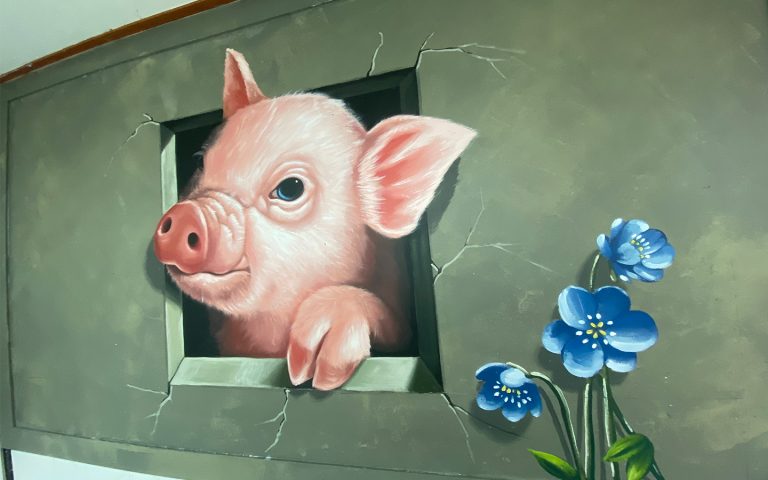 고돈짱 외벽 트릭아트