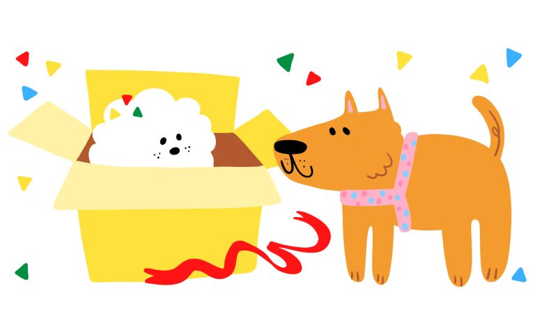 현대백화점 펫페어_1